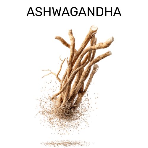 Ashwagandha 101: The Adaptogen Doing the Heavy Lifting in Your Can