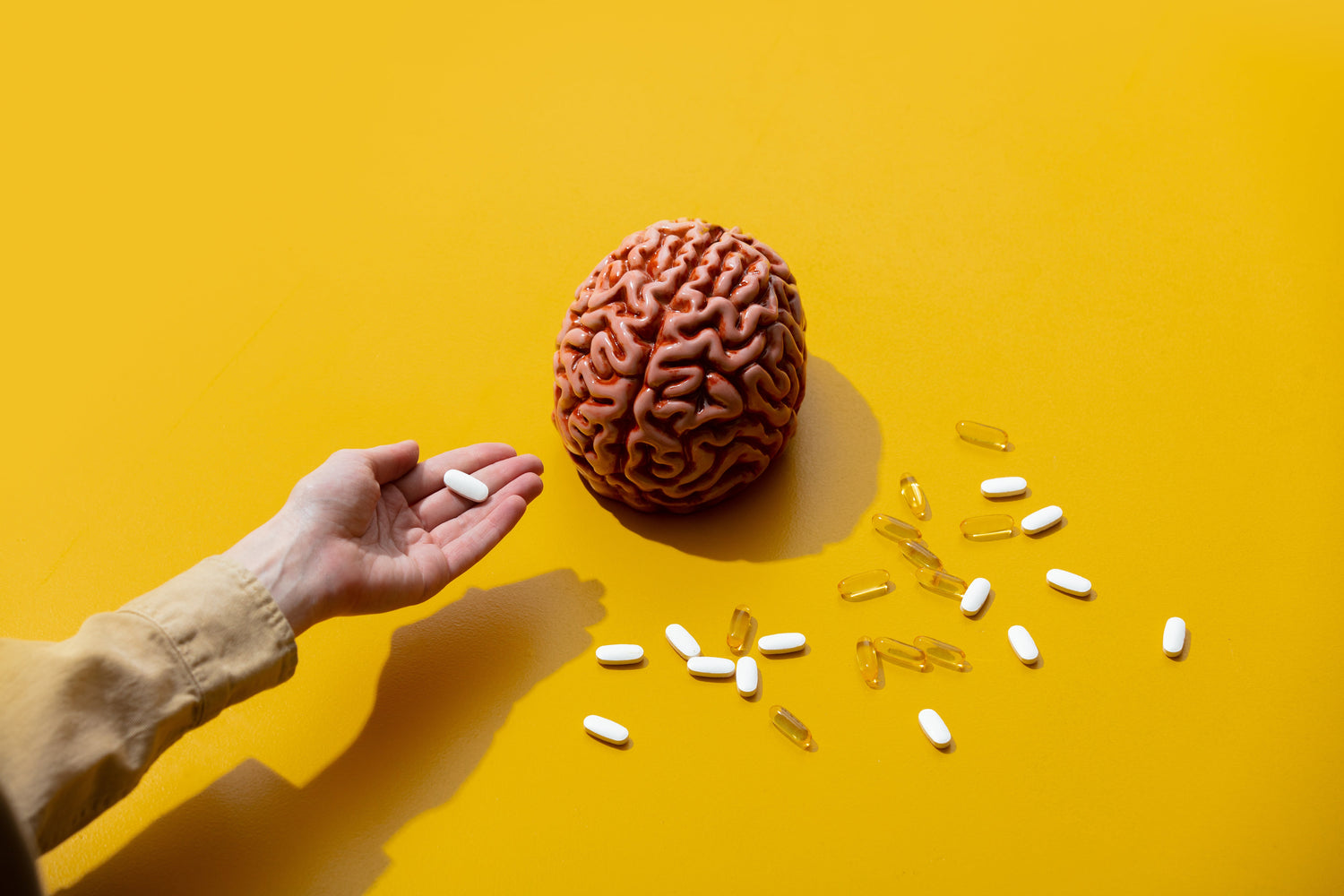 Nootropics 101: A Beginner's Guide to Smart Drinks and Supplements