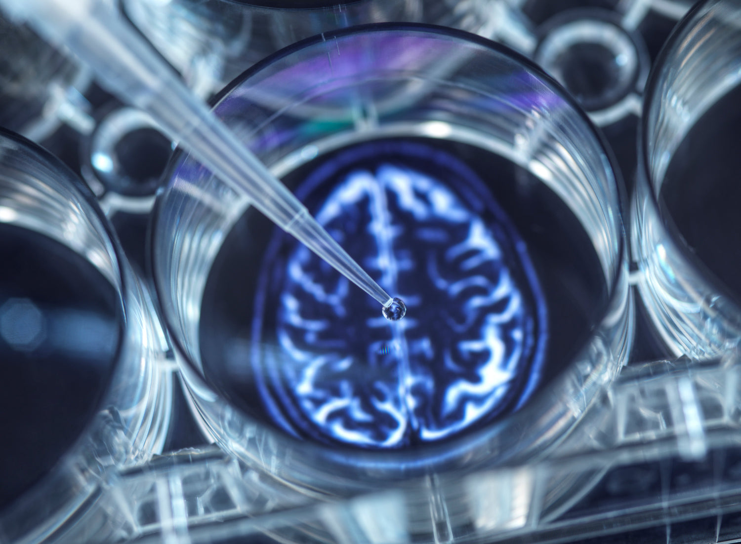 Why Liquid Nootropics Work Faster Than Pills and Powders